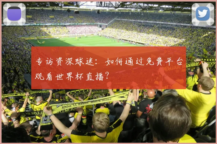 专访资深球迷：如何通过免费平台观看世界杯直播？